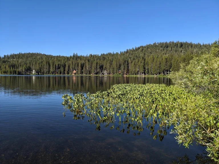 Serene Lakes