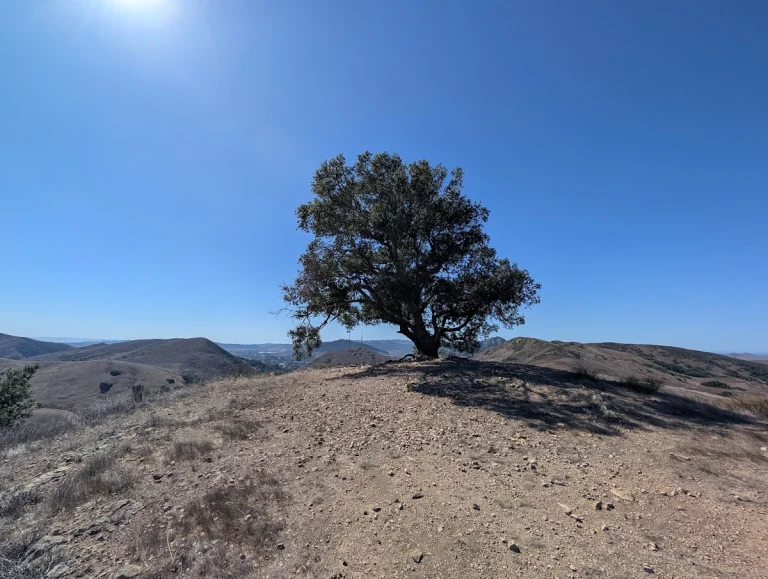 Serenity Swing Hike, a dog-friendly hiking trail in San Luis Obispo, California