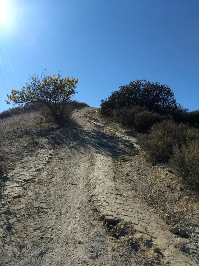 Serrania Ridge Trail, a dog-friendly hiking trail in Woodland Hills, California