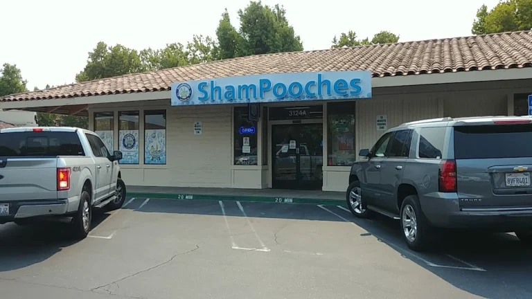 ShamPooches, a dog-friendly dog grooming salon in San Ramon, California
