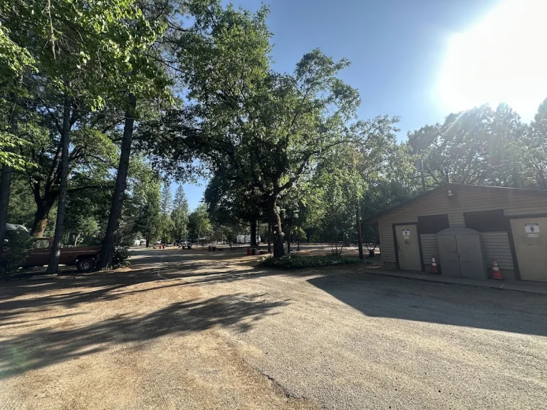 Shasta Lake RV resort, a dog-friendly campground in Lakehead, California