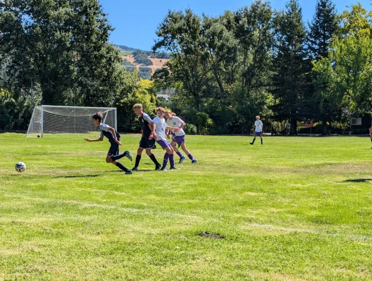 Shaw Park, a dog-friendly park in Kenwood, California