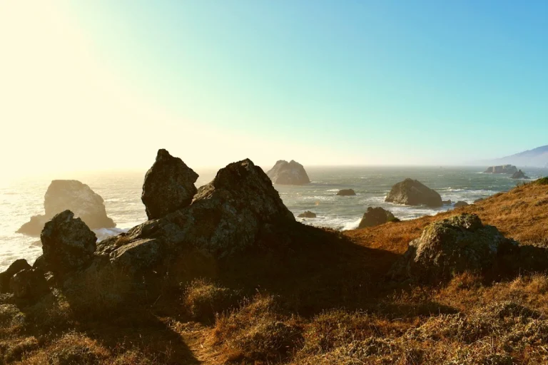 Shell Beach, a dog-friendly beach in Bodega Bay, California