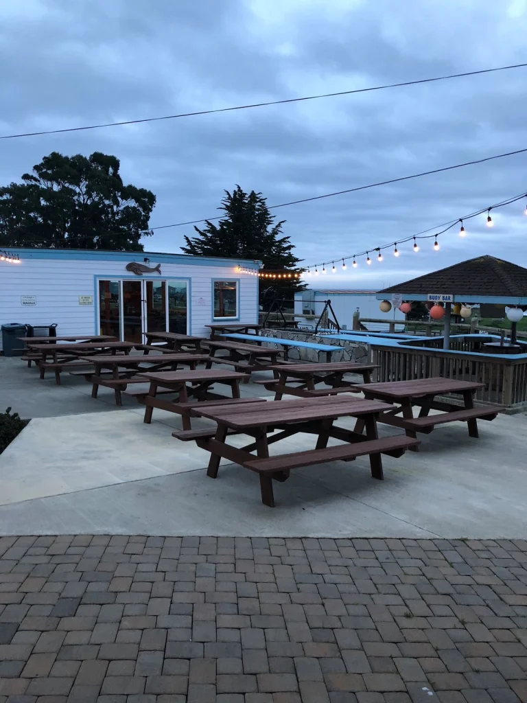 Shelter Cove RV Campground, a dog-friendly campground in Whitethorn, California