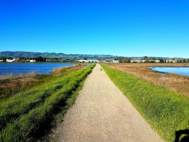 Shollenberger Park, a dog-friendly hiking trail in Petaluma, California