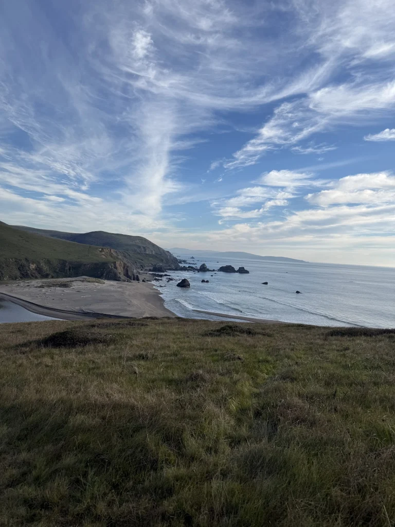 Shorttail Gulch Coastal Access, a dog-friendly hiking trail in Bodega Bay, California