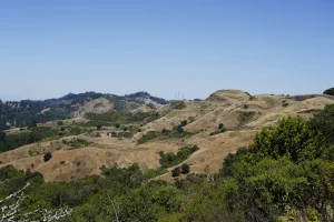 Sibley Volcanic Regional Google Places photo