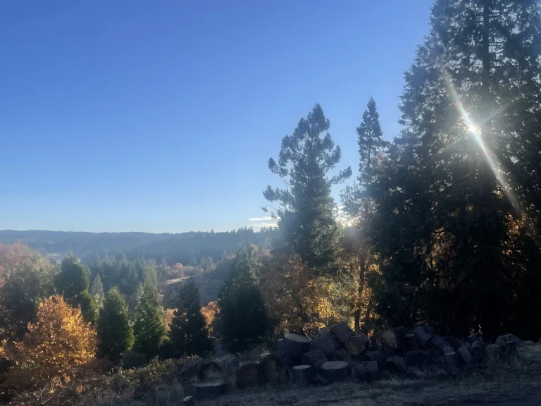 Sierra Magnifica Christmas, a dog-friendly attraction in Placerville, California