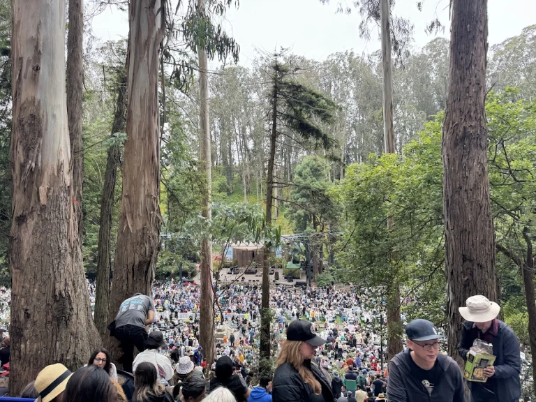 Sigmund Stern Grove, a dog-friendly park in San Francisco, California
