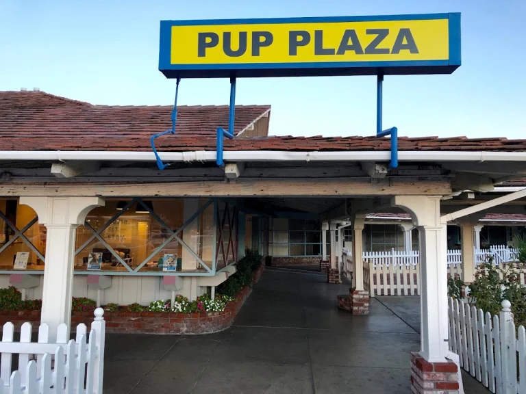 Silicon Valley Pet Project, a dog-friendly animal rescue in San Jose, California