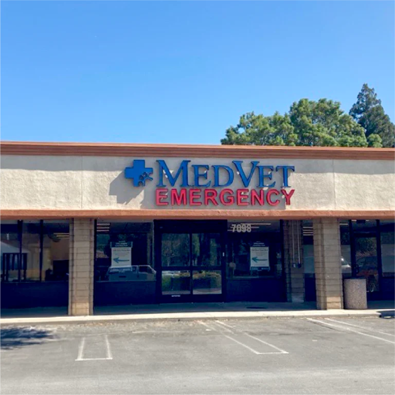 Silicon Valley Veterinary, a dog-friendly veterinary clinic in San Jose, California