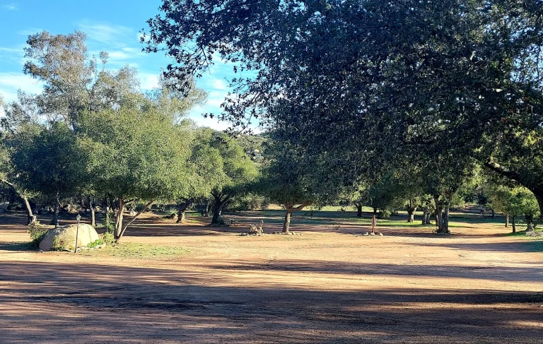 Skyline Ranch RV resort Google Places photo