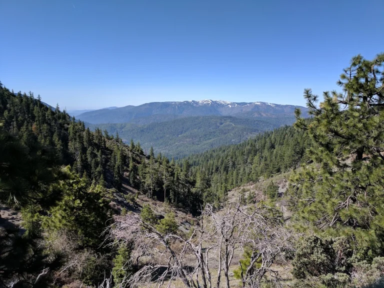 Snow Mountain Wilderness, a dog-friendly park in Stonyford, California