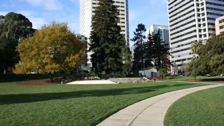 Snow Park, a dog-friendly park in Oakland, California