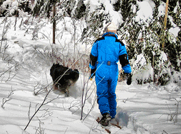 Man and dog on snowshoes