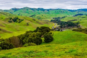 Sobrante Ridge Botanic Google Places photo
