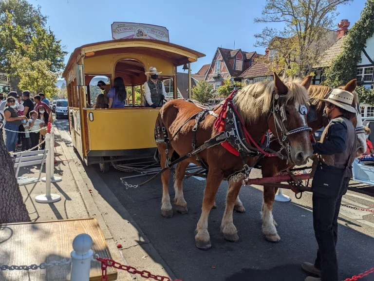 Solvang Trolley and Carriage, a dog-friendly attraction in Santa Ynez, California