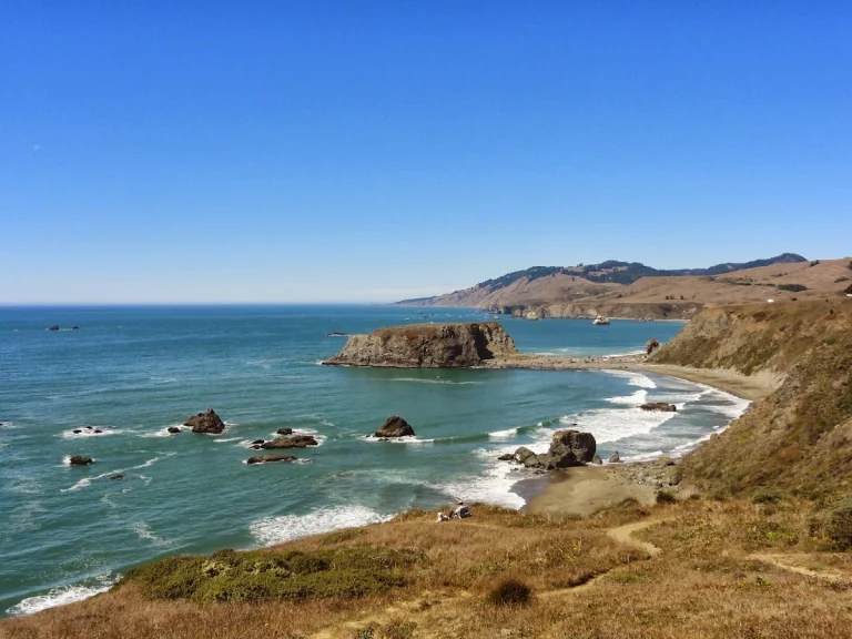 Sonoma Coast State Beach
