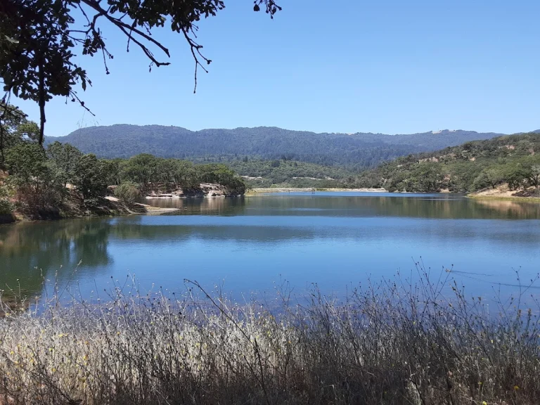 Sonoma Valley Regional Park, a dog-friendly hiking trail in Glen Ellen, California