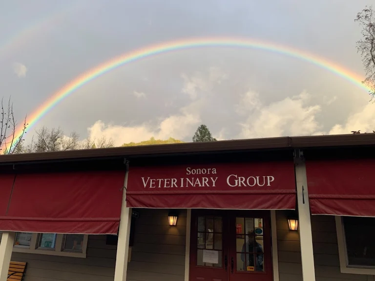 Sonora Veterinary Group, Sonora