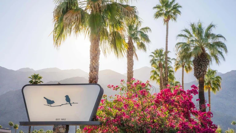 Sparrows Lodge, a dog-friendly hotel in Palm Springs, California