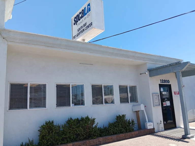 SPCA LA - Hawthorne, a dog-friendly animal rescue in Hawthorne, California