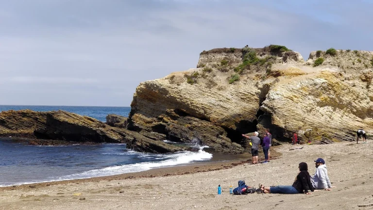 Spooners Cove in Montana, a dog-friendly campground in Los Osos, California