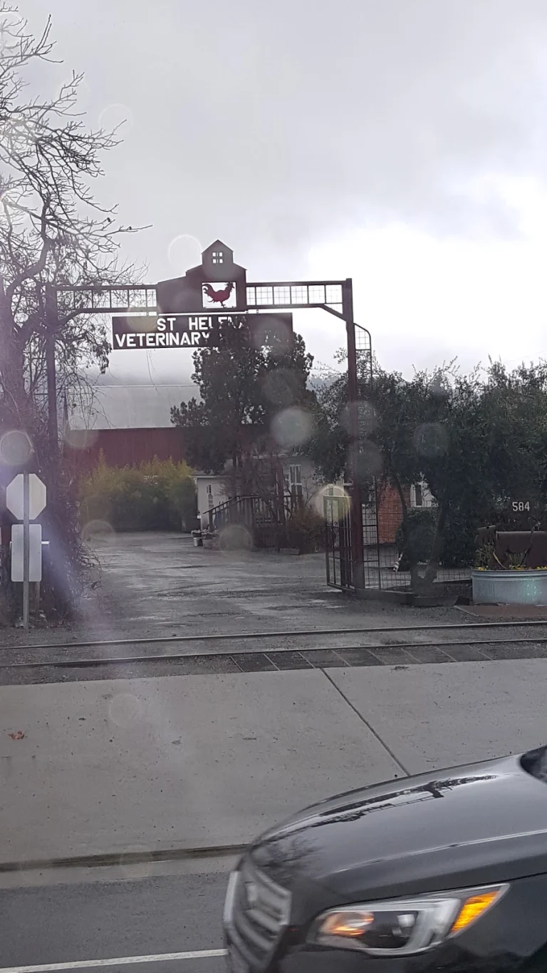 St. Helena Veterinary Hospital Google Places photo