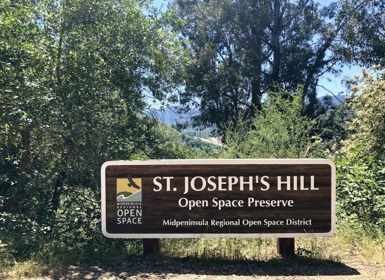 St. Joseph's Hill Open Space, a dog-friendly park in Los Gatos, California