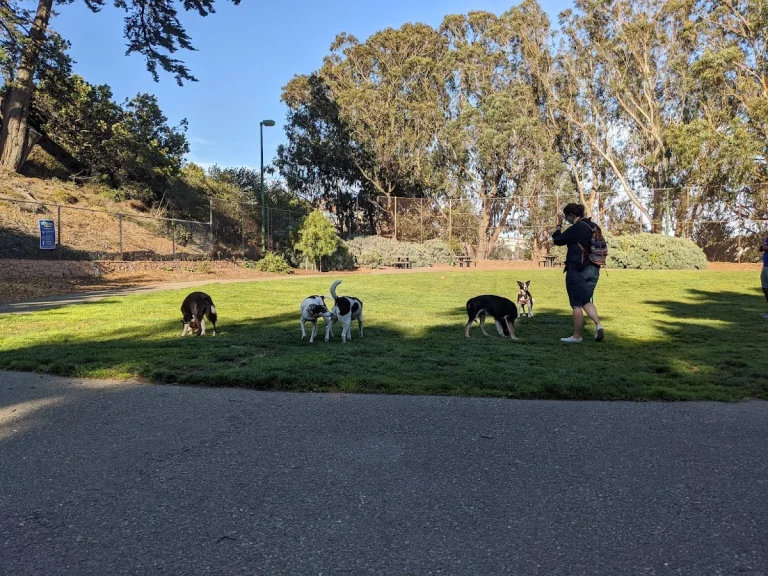 St. Mary’s Dog Park, a dog-friendly dog park in San Francisco, California