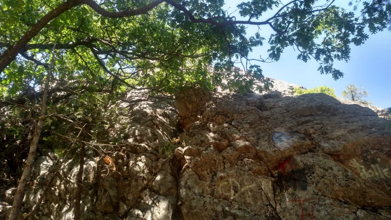 Stanislaus National Forest
