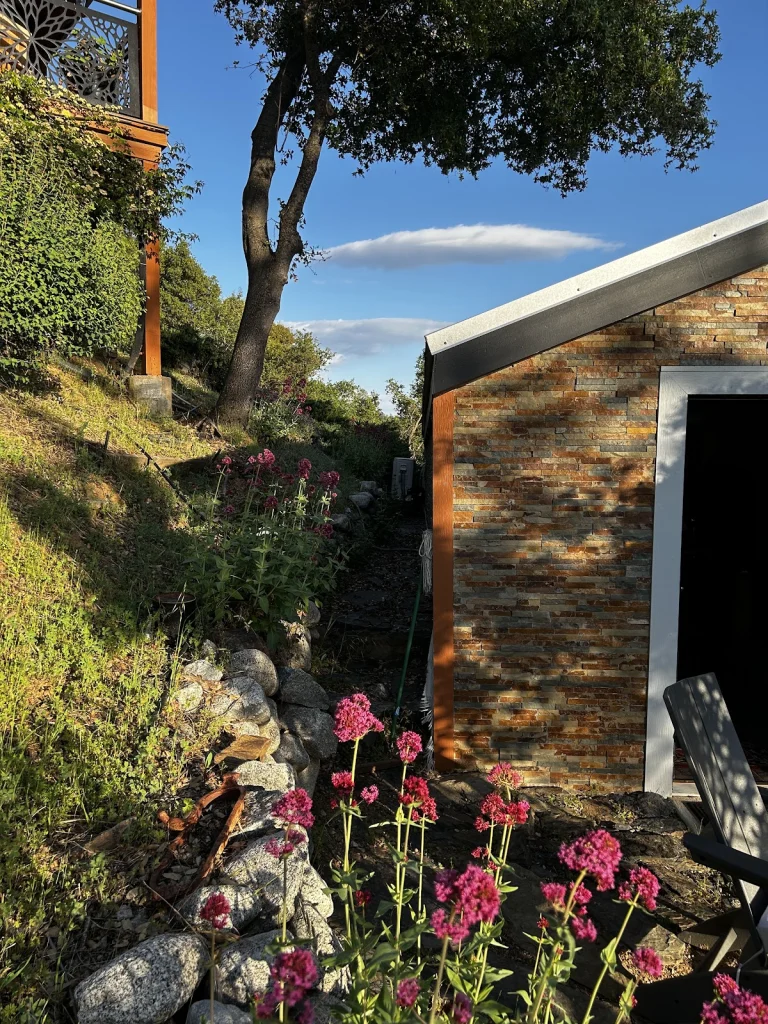 Starlite House — dog-friendly vacation rentals in Midpines