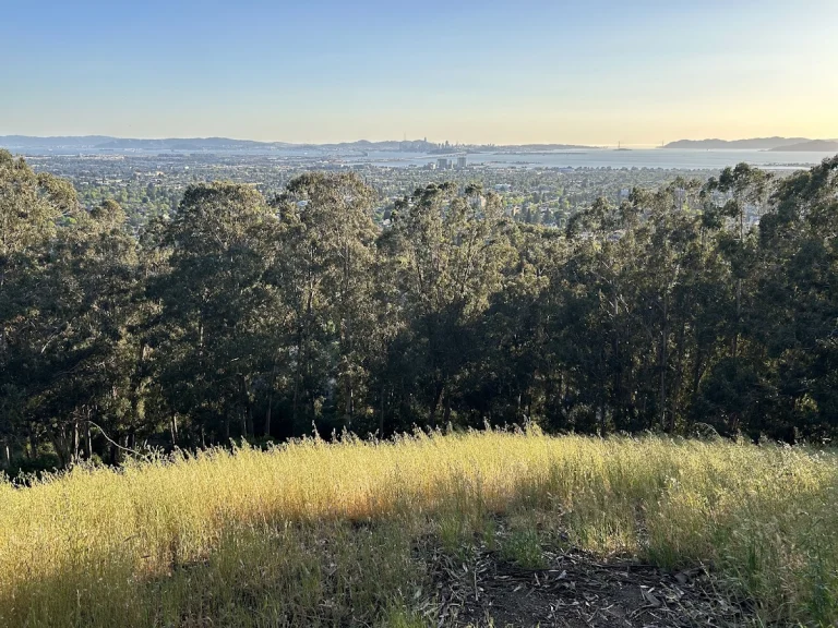 Stonewall Panoramic Trail, a dog-friendly hiking trail in Berkeley, California