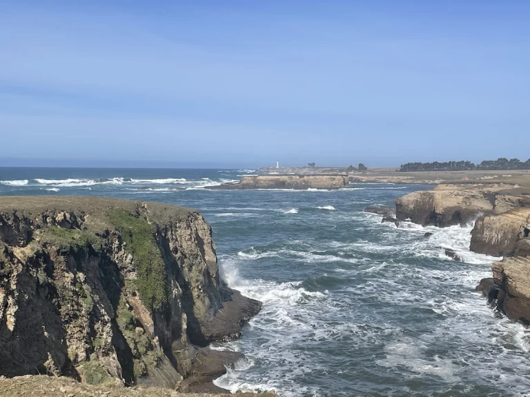 Stornetta Public Lands, a dog-friendly park in Point Arena, California