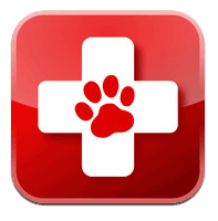 icon for pet first aid from jive media
