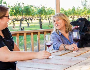 Sunny, convenient Livermore Valley