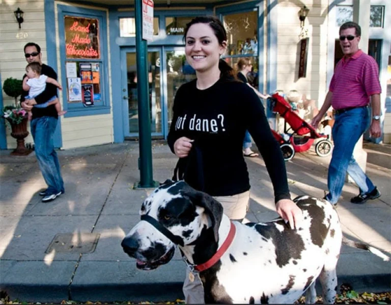 Image from Lots to wag about in tri-valley on DogTrekker