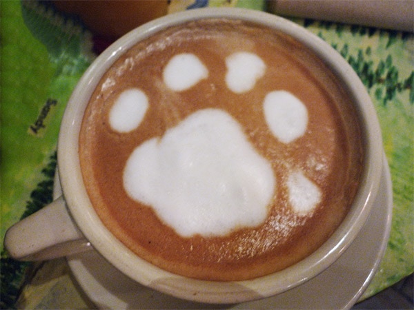Dog paw latte art