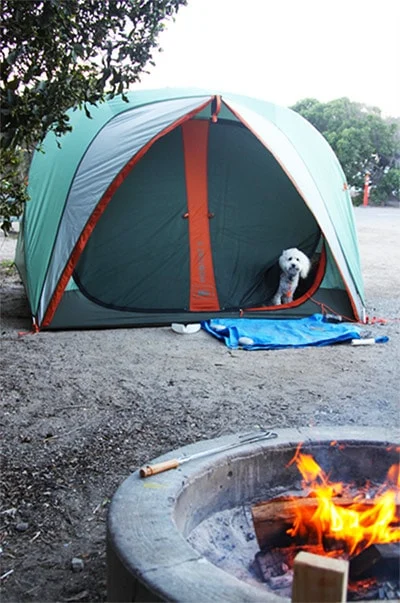 Image from Camping safety on DogTrekker