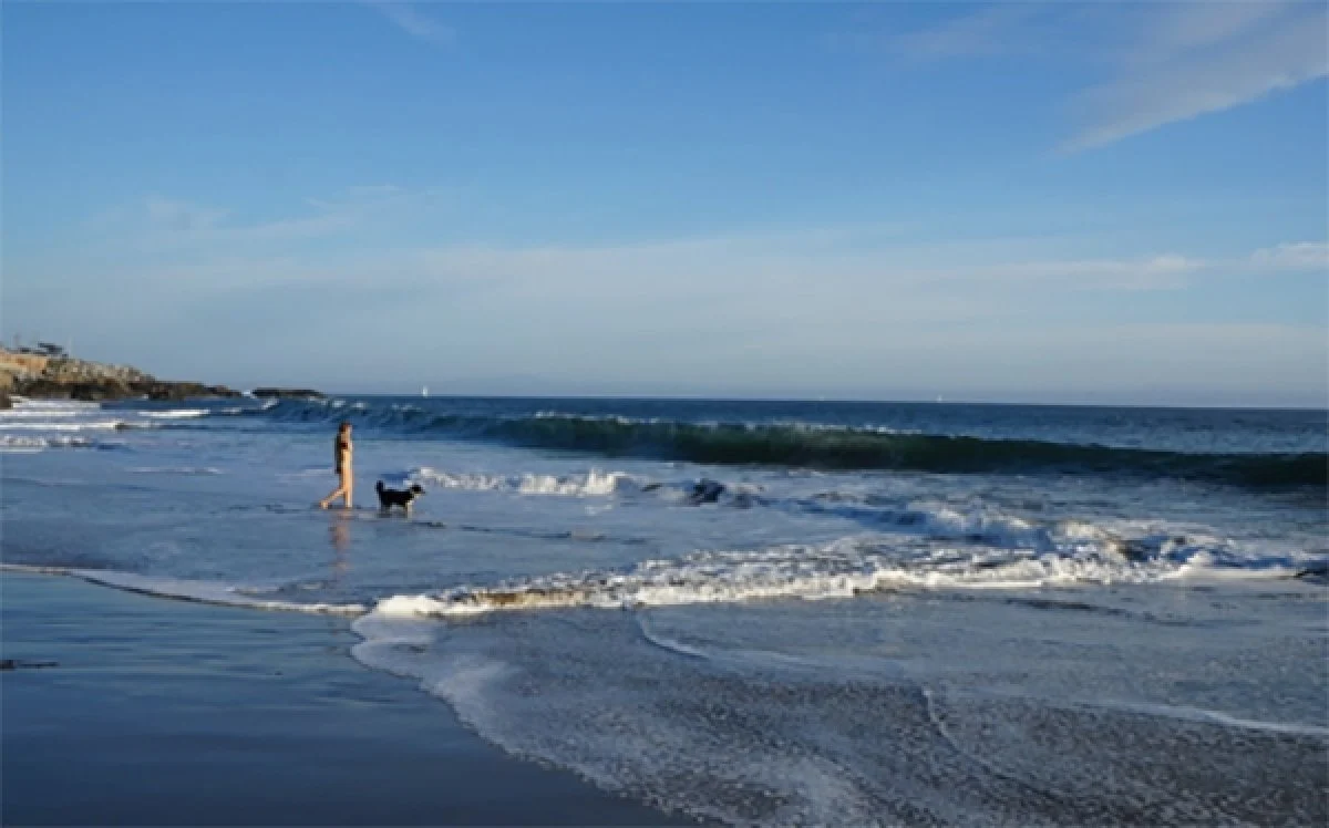 Image from Have dog, will travel to Santa Cruz on DogTrekker