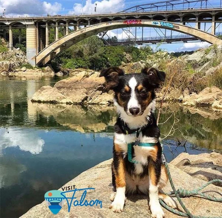 Image from Folsom: gateway to Gold Country on DogTrekker