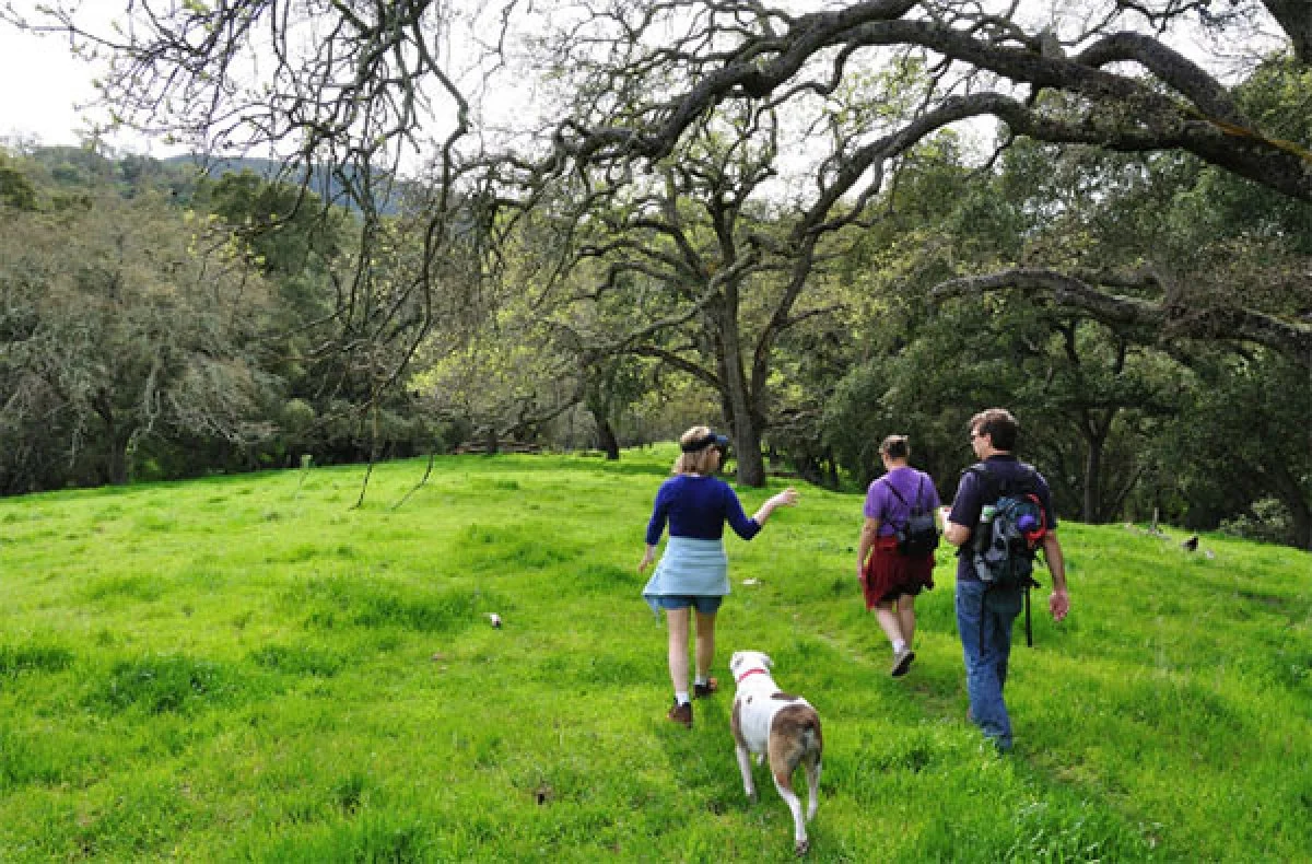 Image from East Bay Regional wonders on DogTrekker