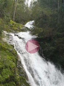 Dog-friendly waterfalls and trails at Whiskeytown