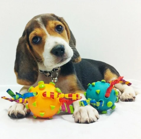 Image from Unsafe toys on DogTrekker