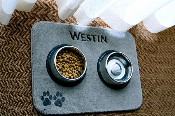 Dog bowls on Westin Hotels mat