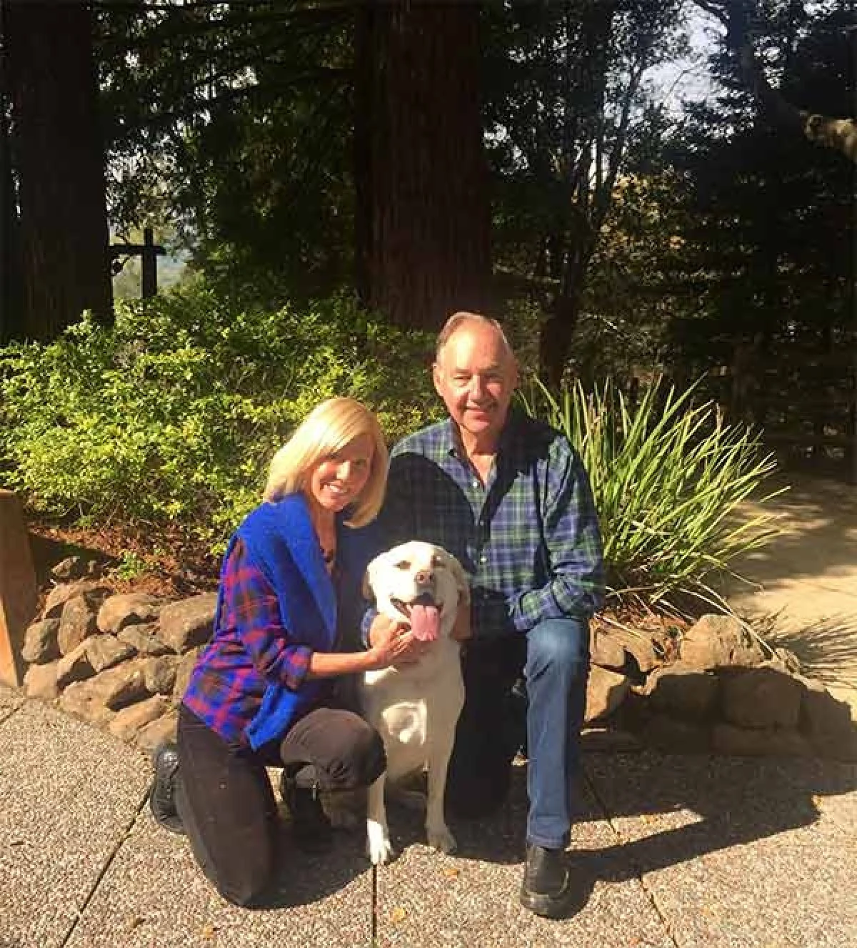 Image from Meet Maya, new Director of Barketing™ on DogTrekker