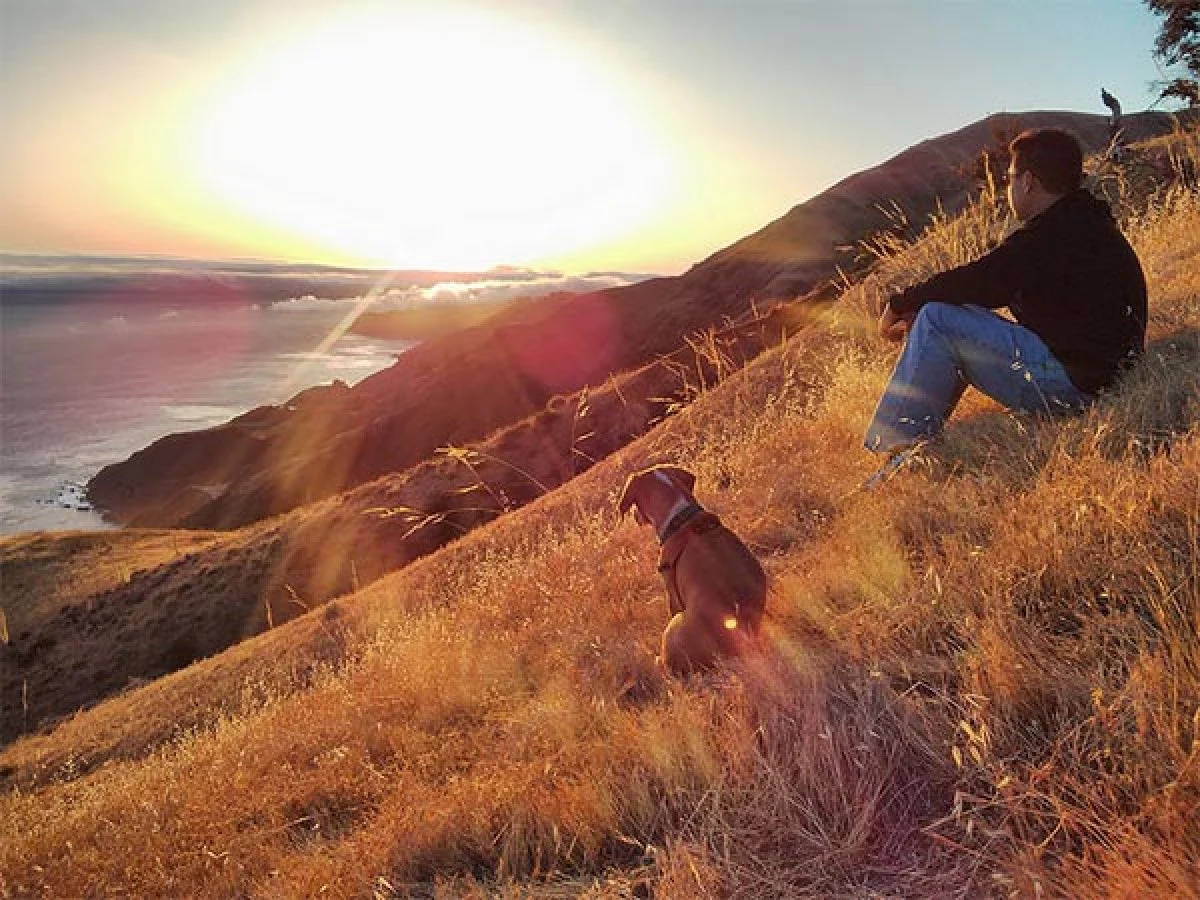 Image from Big Sur alert on DogTrekker