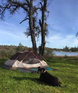 Alerts and tips for a great camping season