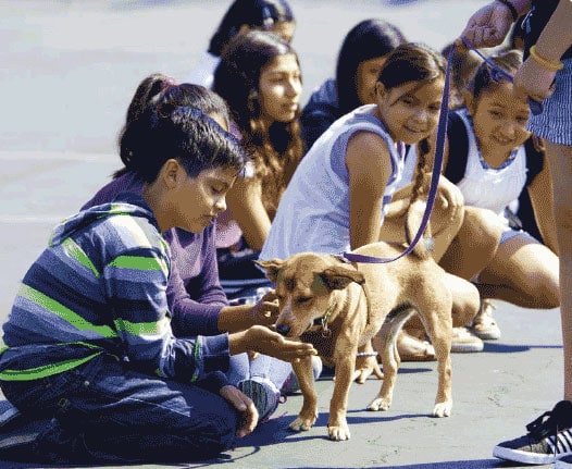 Children petting at dog at Sant Cruz SPCA