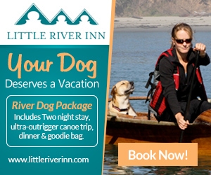 Little River Inn River dog ad